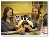 kurs_carvingu_podstawowy_047