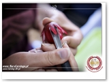 kurs_carvingu_podstawowy_076