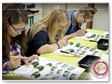 kurs_carvingu_podstawowy_086