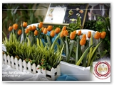 kurs_carvingu_podstawowy_092