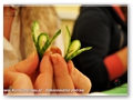 Kurs Carvingu 301